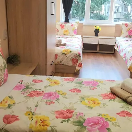 Roma Albergue *