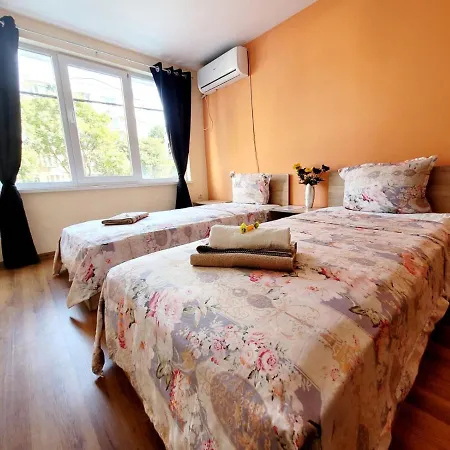 Roma Albergue *